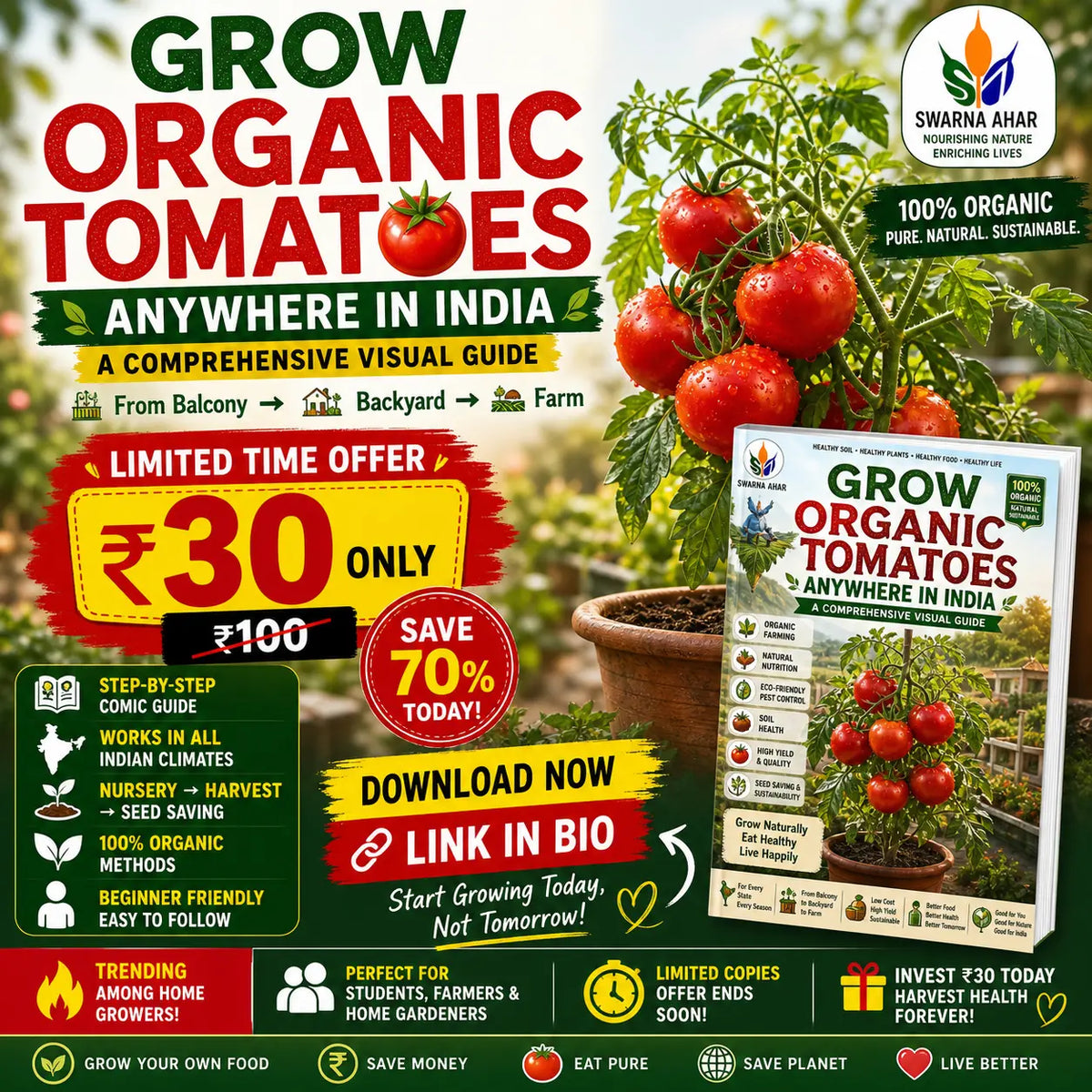 Visual guide cover for growing organic tomatoes in India, featuring organic tomato plants and gardening tips.