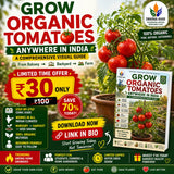 GROW ORGANIC TOMATOES ANYWHERE IN INDIA -Comprehensive Visual Guide