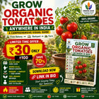 Visual guide cover for growing organic tomatoes in India, featuring organic tomato plants and gardening tips.